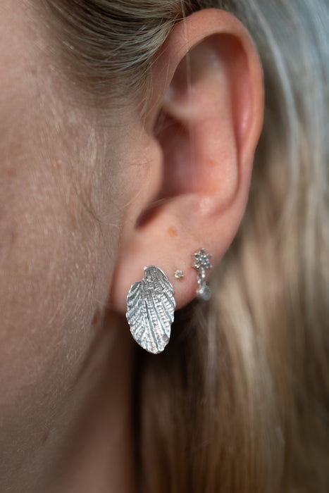 Shell Earrings