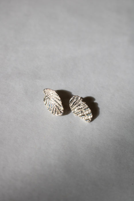 Shell Earrings