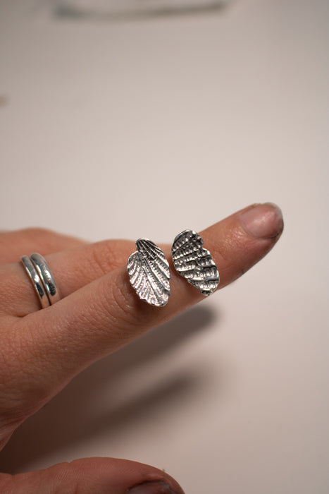 Shell Earrings