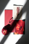 Coral Bloom image 3