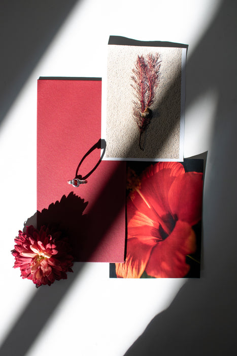 Coral Bloom image 3
